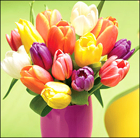 easter flowers